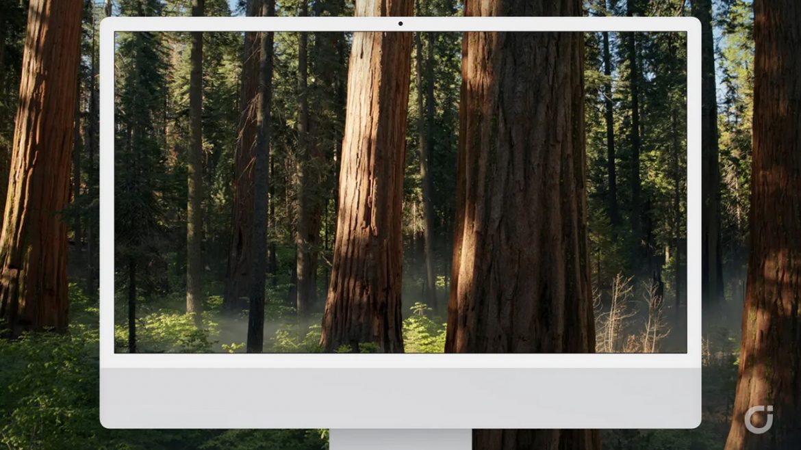 macOS Sequoia beta 5 introduce un nuovo sfondo